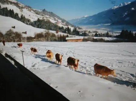 Penzion Taxerhof Mittersill