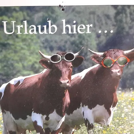 Taxerhof *
